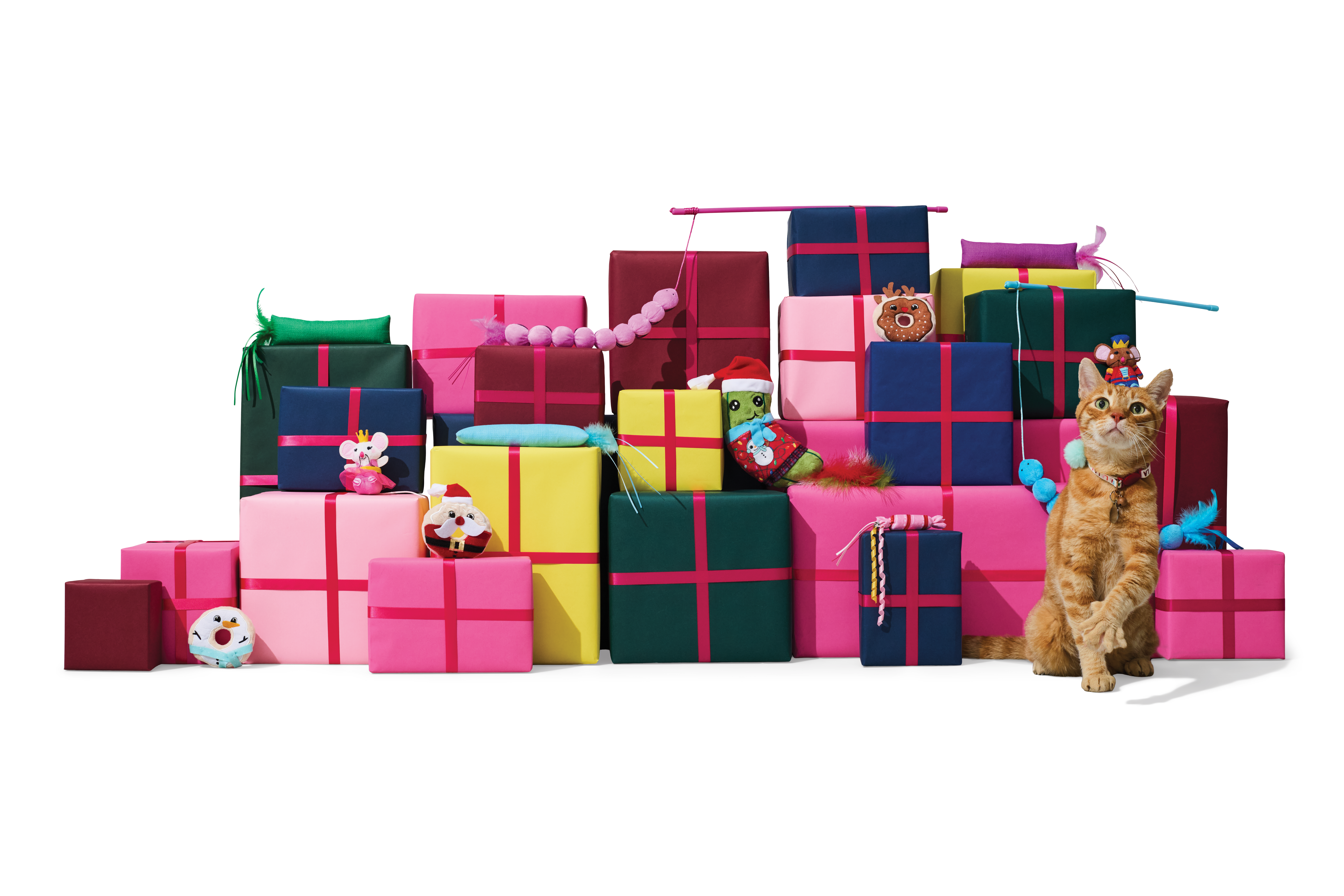 Petco’s Top 10 Holiday Treats and Toys for Cats 